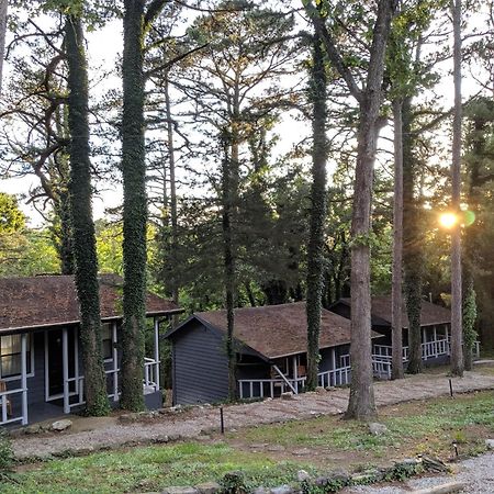 Adventure Cabin 5 - King W Private Hot Tub Villa Eureka Springs Eksteriør bilde